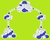 D*balloon arch