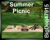 [BD] Summer Picnic