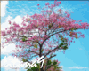 *LL* Sakura tree BG