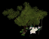 TREE SWING 6P