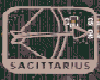 sagittarius