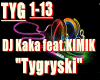 Dj Kaka-Tygryski