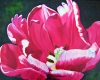 Pink Flower painting2
