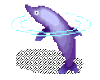 Animated Dolphin Right