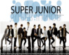 Super Junior frame*1