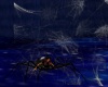 [bdtt] Spider Webbings 1
