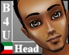 [Jo]B-Head X2