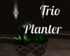 Trio Planter