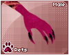 [Pets] Coralia | claws M