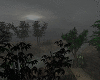 (WdB) Misty Dark Forest