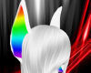 ~N~ Rainbow Wht ears