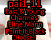 EastYoung Paint It Black