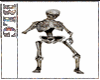 Dancing Party Skeleton