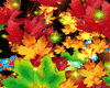 Autumn Stars Bundle