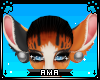 ;A; Toulouse Ears 1