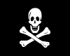 animated pirate flag