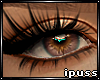 !iP Toffee Brown Eyes