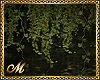 ADDON IVY