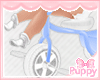 [Pup] Blue Tricycle Kids