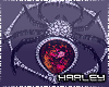 ! Sparkle Spider R