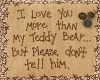 Teddy Bear Parent/kid