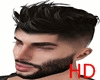 HD-Hair - King