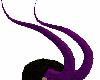 Purple/Black Horns