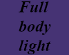 *M* Full body light