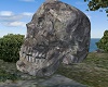 Pirate Skull Rock NPC 4