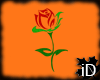 iD: Rose