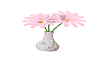 White Vase w/Pink Flower
