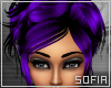 [SOF] Blanch Purple