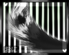 O " COAL tail