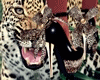 [D]Heels Leopard