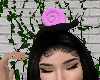mollusk ⋆ 2
