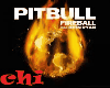 PITBULL - FIREBALL