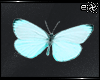 . blue butterflies