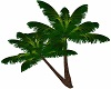 Derivable Palm Trees