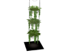 Mul_04_Plant