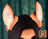 RED FOX Perky Ears