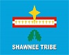 SHAWNEE FLAG WALL FRAMED