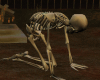 Skeleton Seat