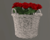 DER: Basket Roses