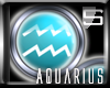 [S] Zodiac Aquarius