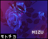 ㋲ MIZU | Roses