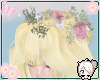 Yun| Carol Fairy 2