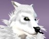 White Wolf Head 2