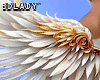 DY*Angel W Wings