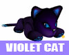 VIOLET CAT