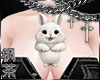 冯 Bunny Boo